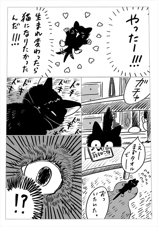 生まれ変わって猫になった話