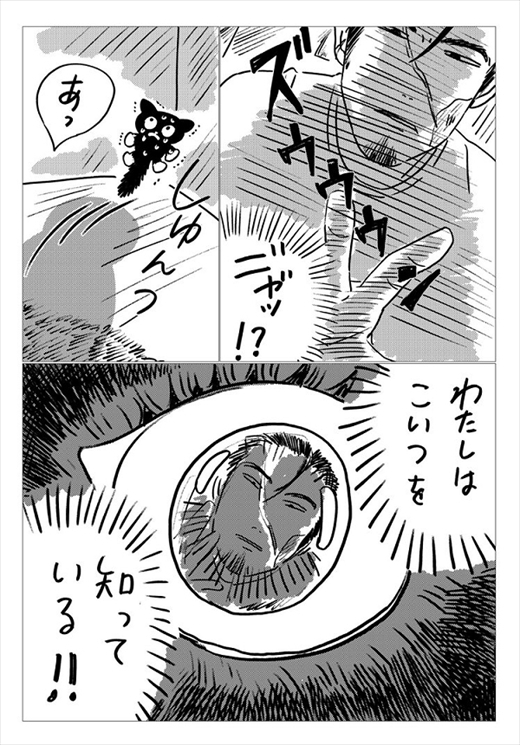 生まれ変わって猫になった話