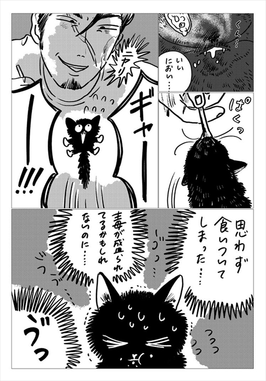 生まれ変わって猫になった話