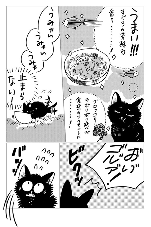 生まれ変わって猫になった話