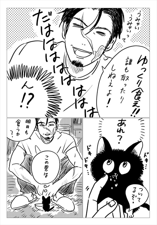 生まれ変わって猫になった話