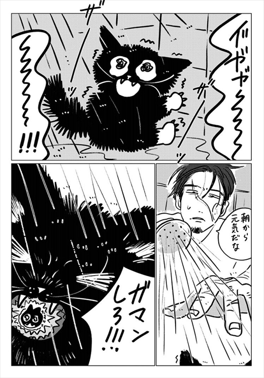 生まれ変わって猫になった話