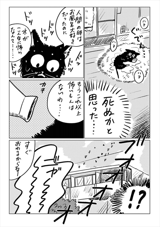生まれ変わって猫になった話