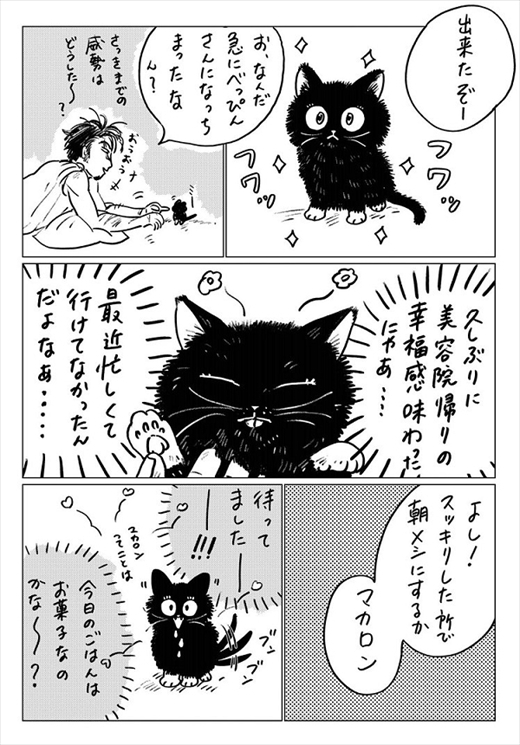 生まれ変わって猫になった話