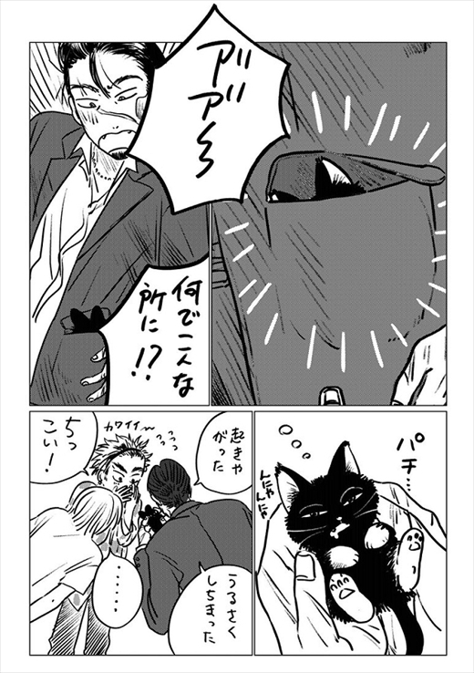 生まれ変わって猫になった話