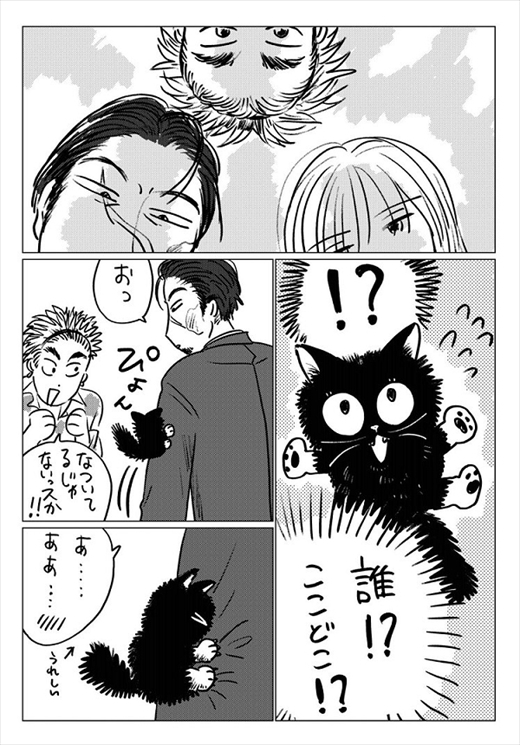 生まれ変わって猫になった話