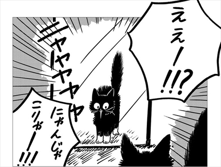 生まれ変わって猫になった話