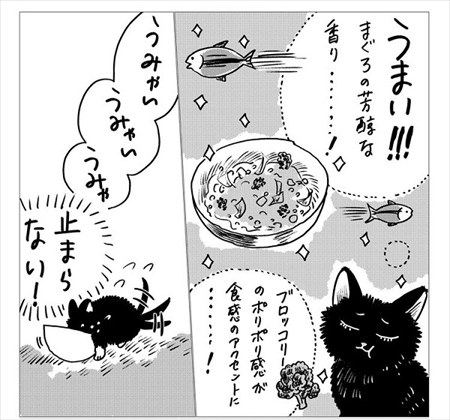 生まれ変わって猫になった話