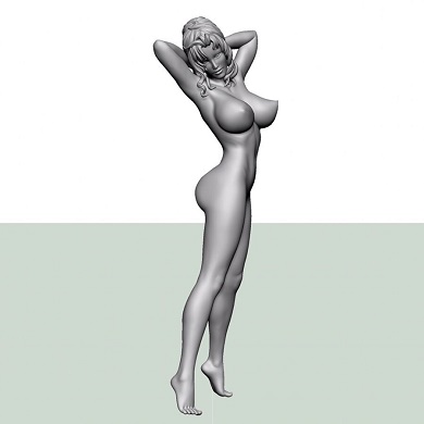 叶姉妹 フィギュア 3D