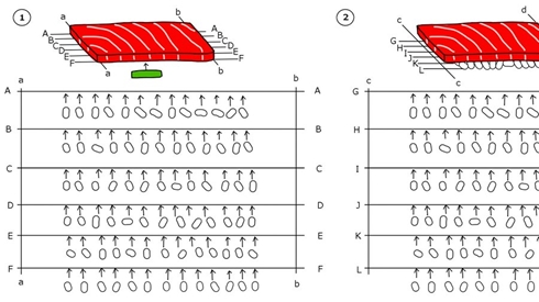 寿司 すし おすし プラモ プラモデル