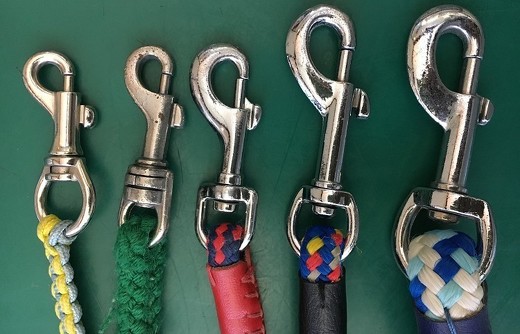 ペット手帳 犬 首輪