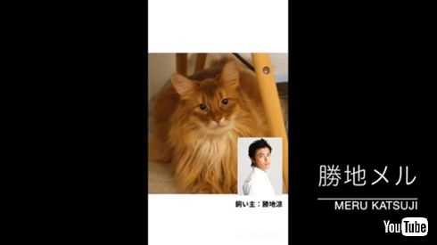 広瀬すず 広瀬アリス 外出自粛 新型コロナ 瀬戸朝香 勝地涼