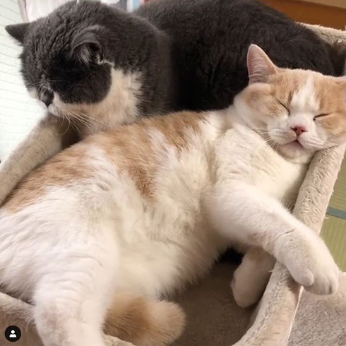 みかんとじろうさんち