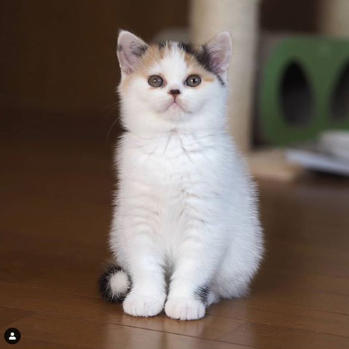 みかんとじろうさんち