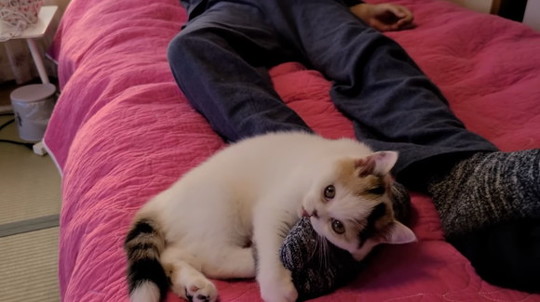 みかんとじろうさんち