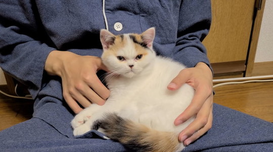 みかんとじろうさんち