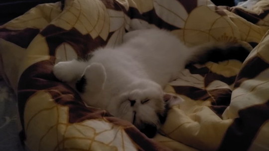 みかんとじろうさんち