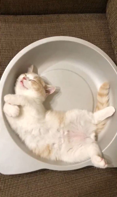 みかんとじろうさんち