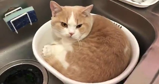 みかんとじろうさんち