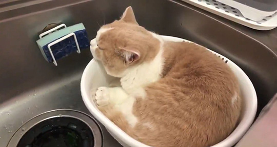 みかんとじろうさんち