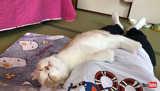 みかんとじろうさんち