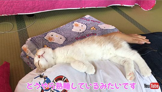 みかんとじろうさんち