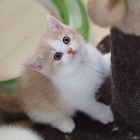 みかんとじろうさんち