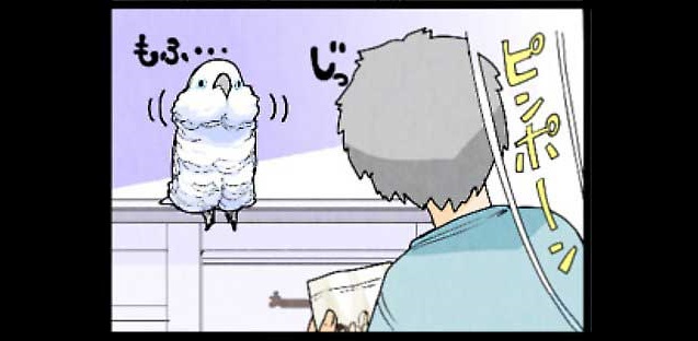 オウムも気を使っているのです」 賢くて憎めないオウムさんとの