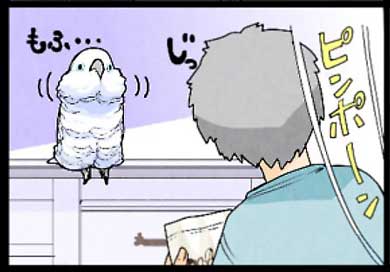 オウムも気を使っている 捨てる いたずらオウムの生活雑記 ろう 飼い主 漫画 オウム