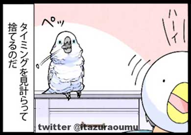 オウムも気を使っている 捨てる いたずらオウムの生活雑記 ろう 飼い主 漫画 オウム