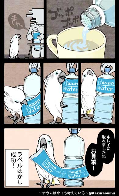 オウムも気を使っている 捨てる いたずらオウムの生活雑記 ろう 飼い主 漫画 オウム