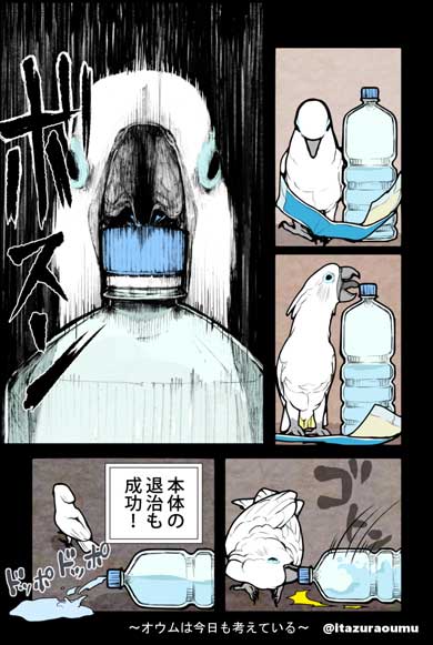 オウムも気を使っているのです」 賢くて憎めないオウムさんとの