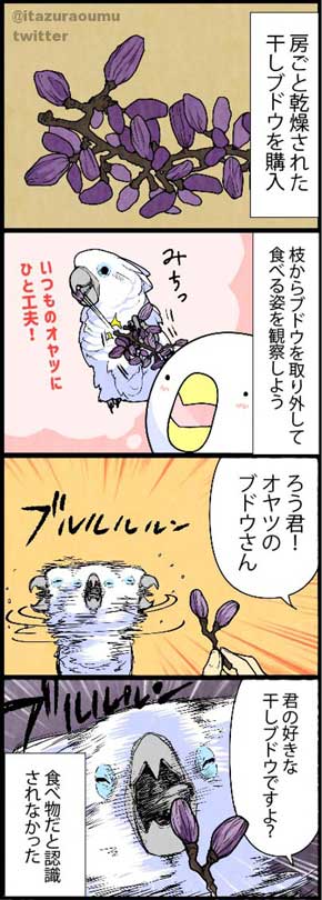 オウムも気を使っている 捨てる いたずらオウムの生活雑記 ろう 飼い主 漫画 オウム