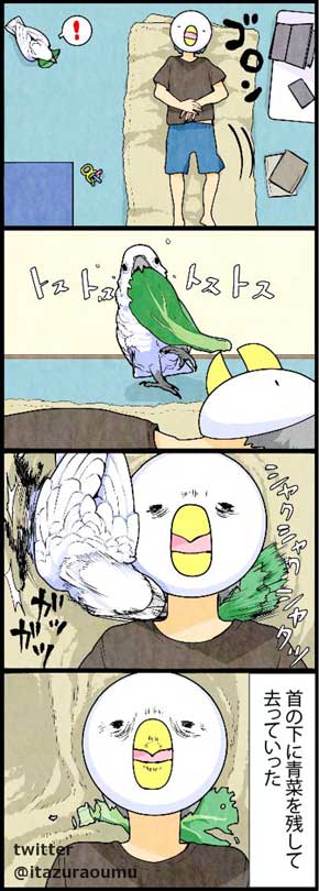 オウムも気を使っている 捨てる いたずらオウムの生活雑記 ろう 飼い主 漫画 オウム