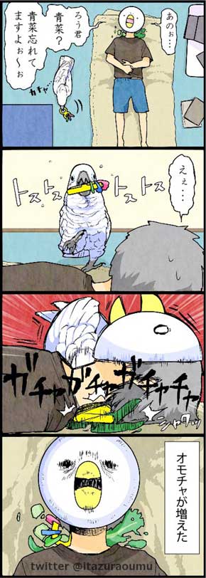 オウムも気を使っている 捨てる いたずらオウムの生活雑記 ろう 飼い主 漫画 オウム