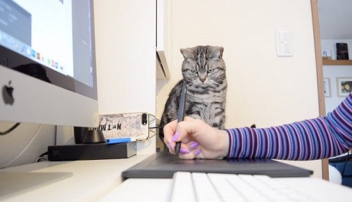 監視こまちさん