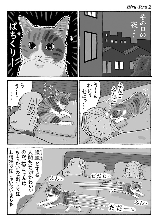 ある日の昼と夜2