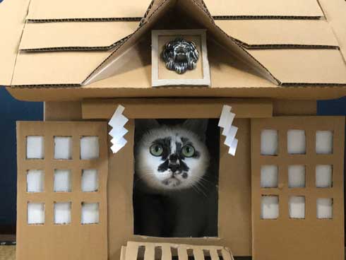 コロナ終息を願って 猫神社 河鍋暁斎 猫 賽銭箱 ダンボール 熱海 Muddy Cat