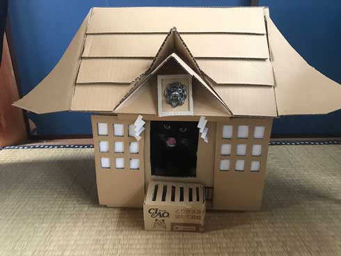 コロナ終息を願って 猫神社 河鍋暁斎 猫 賽銭箱 ダンボール 熱海 Muddy Cat