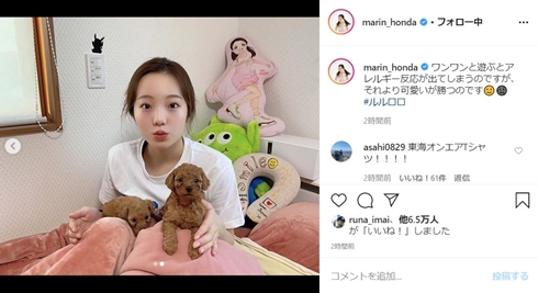 本田真凜 愛犬 子犬 本田望結 本田紗来