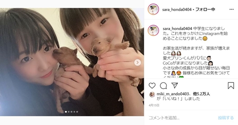 本田真凜 愛犬 子犬 本田望結 本田紗来