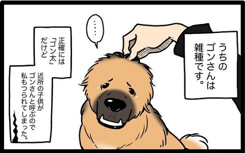 雑種犬漫画
