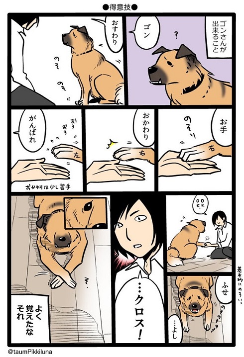 技を持つゴンさん