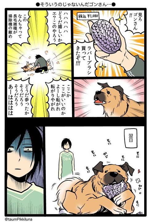 そういうのじゃないんだ