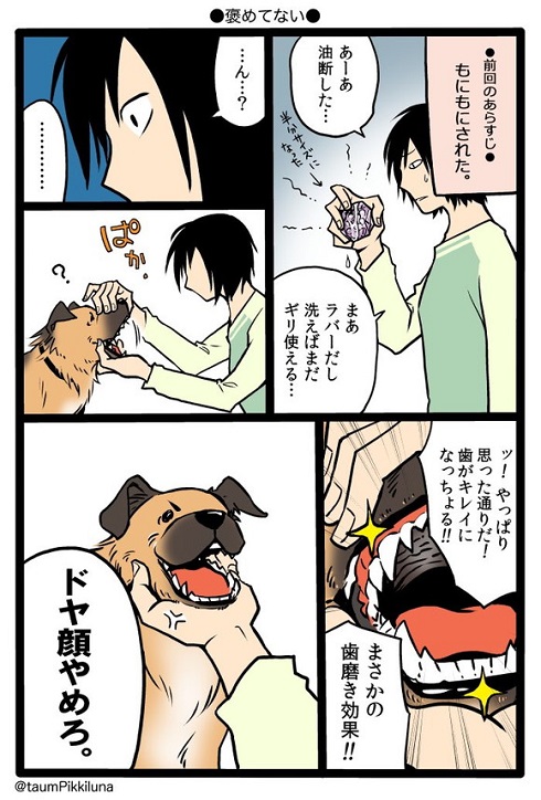 ラバーブラシに歯磨き効果