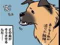 うちの雑種犬は“ダサかわいい”!!　雑種犬「ゴンさん」の味わい深い魅力を描いた漫画に愛情が詰まっている