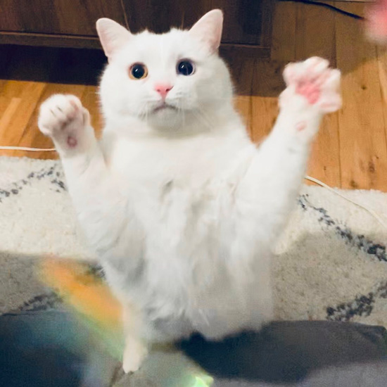  谷間ステップ2