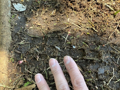 マウンテンバイク 公園 マナー 