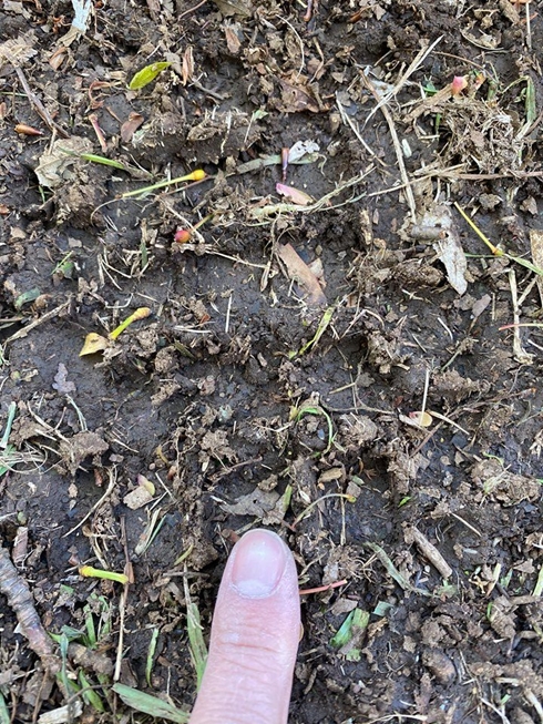 マウンテンバイク 公園 マナー 