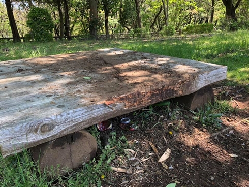 マウンテンバイク 公園 マナー 